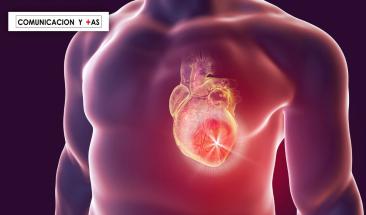 Terapia celular logra regenerar un coraz&oacute;n humano con &eacute;xito