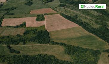 La agricultura intensiva pone en riesgo espacios naturales protegidos