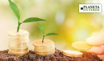 Bonos verdes y fondos sostenibles: oportunidades en auge