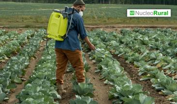 Chile proh&iacute;be tres plaguicidas peligrosos en su agricultora