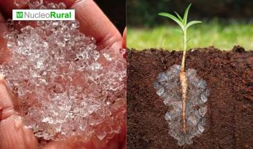 Lluvia s&oacute;lida: la clave para combatir la sequ&iacute;a agr&iacute;cola