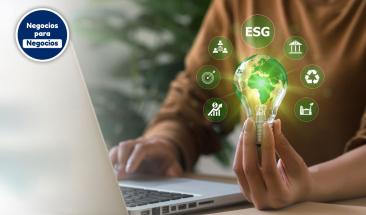 Sustentabilidad y sostenibilidad: diferencias claves para entender su impacto