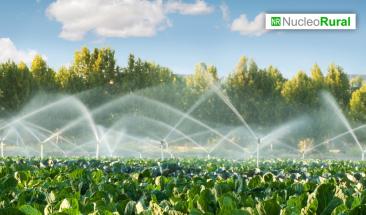 Primer e-commerce especializado en soluciones h&iacute;dricas para la agroindustria