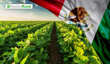 La agricultura mexicana frente a los aranceles de Trump