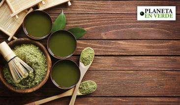 La alta demanda de matcha amenaza ecosistemas agrícolas La alta demanda de matcha amenaza ecosistemas agrícolas