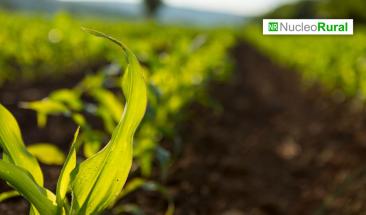 El agro colombiano supera al PIB nacional en crecimiento económico El agro colombiano supera al PIB nacional en crecimiento económico
