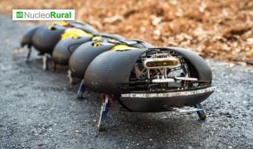 La robótica agrícola avanza con diseño tipo ciempiés La robótica agrícola avanza con diseño tipo ciempiés