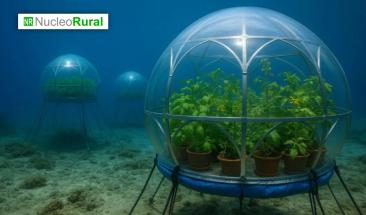 La agricultura submarina ya es una realidad viable La agricultura submarina ya es una realidad viable