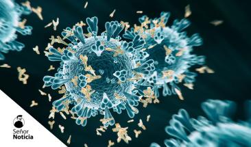 OMS sigue sin aclarar or&iacute;genes del COVID-19 y pide m&aacute;s datos a China