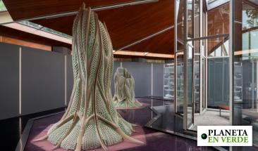 Crean material vivo que captura CO2 y podr&iacute;a limpiar el aire urbano