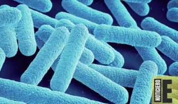 Casos de bacteria “come carne” en Florida encienden alertas Casos de bacteria “come carne” en Florida encienden alertas