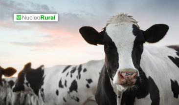 Ministros de Agricultura de América se reúnen en Perú para definir el futuro de la producción animal Ministros de Agricultura de América se reúnen en Perú para definir el futuro de la producción animal