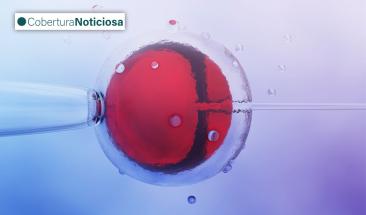 Cient&iacute;ficos crean &oacute;vulos viables a partir de c&eacute;lulas de la piel en un avance hist&oacute;rico