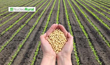 El agro indio es el eje del conflicto comercial con Estados Unidos