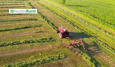 ONU declara 2026 como Año Internacional de la Agricultora ONU declara 2026 como Año Internacional de la Agricultora