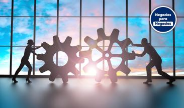 Hibernar para crecer: la estrategia que salva negocios en tiempos pol&iacute;ticos adversos