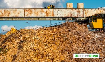 Europa impulsa la valorizaci&oacute;n de residuos agr&iacute;colas para reactivar las econom&iacute;as rurales