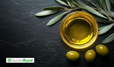 Andaluc&iacute;a TRADE refuerza la proyecci&oacute;n del AOVE en el mercado polaco