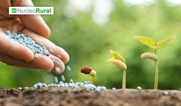 ONU integra a México en iniciativa global de agricultura sostenible ONU integra a México en iniciativa global de agricultura sostenible