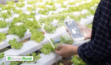 Agricultura 2026: el sector redefine su rumbo ante los desafíos globales Agricultura 2026: el sector redefine su rumbo ante los desafíos globales