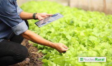 España: Plan de Formación Continua 2026 con 61 cursos para impulsar el desarrollo rural España: Plan de Formación Continua 2026 con 61 cursos para impulsar el desarrollo rural