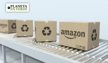 Amazon refuerza su liderazgo sostenible en el comercio electrónico global Amazon refuerza su liderazgo sostenible en el comercio electrónico global