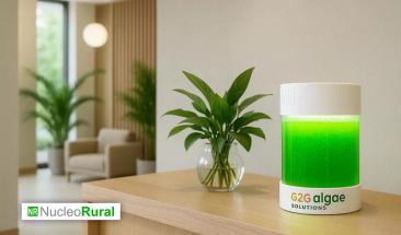 Algas sevillanas impulsan agricultura sostenible y purificaci&oacute;n del aire