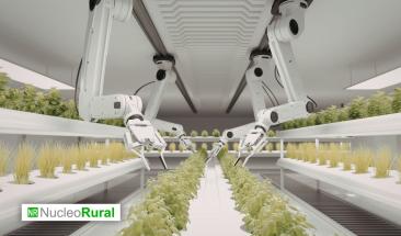 Agricultura vertical: ciudades m&aacute;s sostenibles y autosuficientes