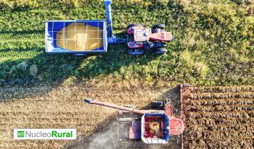 Tecnología de precisión impulsa la rentabilidad en pequeñas explotaciones agrícolas Tecnología de precisión impulsa la rentabilidad en pequeñas explotaciones agrícolas