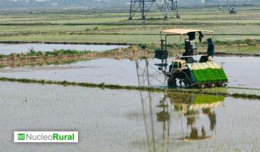 Las borrascas dejan más de 3.500 millones en pérdidas en el campo andaluz Las borrascas dejan más de 3.500 millones en pérdidas en el campo andaluz