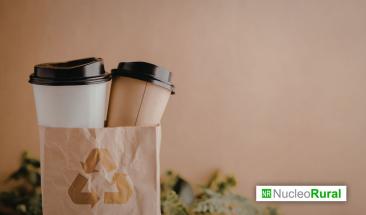 Caf&eacute; sostenible: c&oacute;mo se produce y su impacto en comunidades y medio ambiente