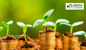 Empleos verdes: una oportunidad laboral global en expansi&oacute;n