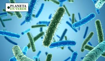 Científicos ponen a los microbios en el centro de la conservación ambiental global Científicos ponen a los microbios en el centro de la conservación ambiental global