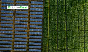 Agrovoltaica: la altura de los paneles solares define el rendimiento agrícola y energético Agrovoltaica: la altura de los paneles solares define el rendimiento agrícola y energético