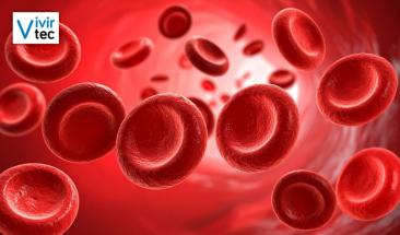 Sangre artificial y en polvo: avances médicos que salvarán vidas en segundos Sangre artificial y en polvo: avances médicos que salvarán vidas en segundos