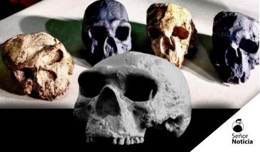 Cráneo milenario en China redefine el origen temprano del Homo sapiens Cráneo milenario en China redefine el origen temprano del Homo sapiens