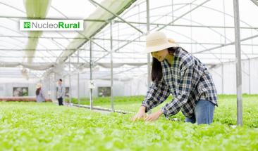 Agricultura regenerativa: los 10 criterios que ya marcan el nuevo estándar del campo Agricultura regenerativa: los 10 criterios que ya marcan el nuevo estándar del campo