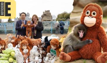 IKEA capitaliza viralidad de Punch con marketing emocional estratégico IKEA capitaliza viralidad de Punch con marketing emocional estratégico