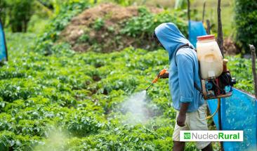 Alza de fertilizantes presiona al campo y anticipa encarecimiento de alimentos Alza de fertilizantes presiona al campo y anticipa encarecimiento de alimentos