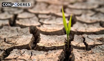Científicos descubren que podrían combatir la desertificación con cianobacterias Científicos descubren que podrían combatir la desertificación con cianobacterias