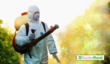 Las plagas agr&iacute;colas m&aacute;s devastadoras de la historia