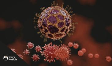&iquest;Qu&eacute; es el hantavirus y c&oacute;mo se transmite?
