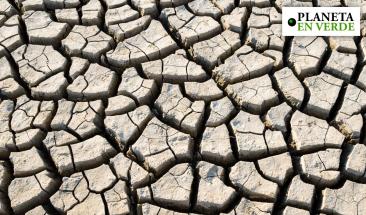 Super Ni&ntilde;o: qu&eacute; es y c&oacute;mo prepararse para el fen&oacute;meno clim&aacute;tico que preocupa a Am&eacute;rica Latina