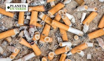 El impacto ambiental oculto detr&aacute;s de cada cigarrillo