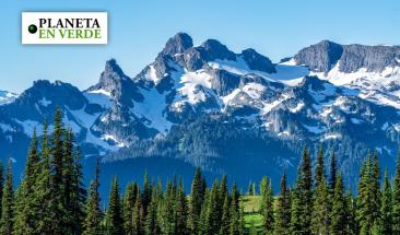 Cambio climático amenaza la regeneración de plantas alpinas Cambio climático amenaza la regeneración de plantas alpinas
