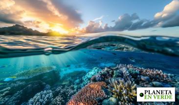 Océanos alcanzan temperaturas récord y alertan sobre una nueva fase del cambio climático Océanos alcanzan temperaturas récord y alertan sobre una nueva fase del cambio climático