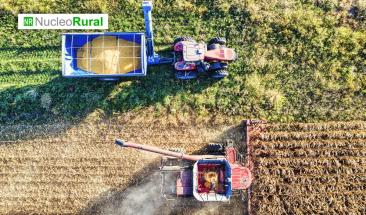 El Niño: cómo puede impactar a la agricultura y la agroindustria El Niño: cómo puede impactar a la agricultura y la agroindustria