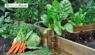 Agricultura urbana: la estrategia que puede fortalecer la seguridad alimentaria Agricultura urbana: la estrategia que puede fortalecer la seguridad alimentaria