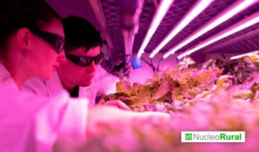 &iquest;Puede la agricultura espacial transformar el cultivo de alimentos?
