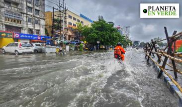 El Ni&ntilde;o podr&iacute;a convertirse en el m&aacute;s fuerte registrado desde 1950